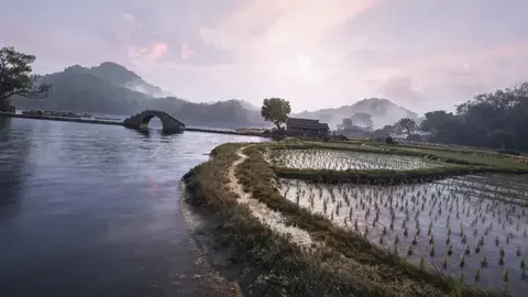 老酒尘 的分享效果预览